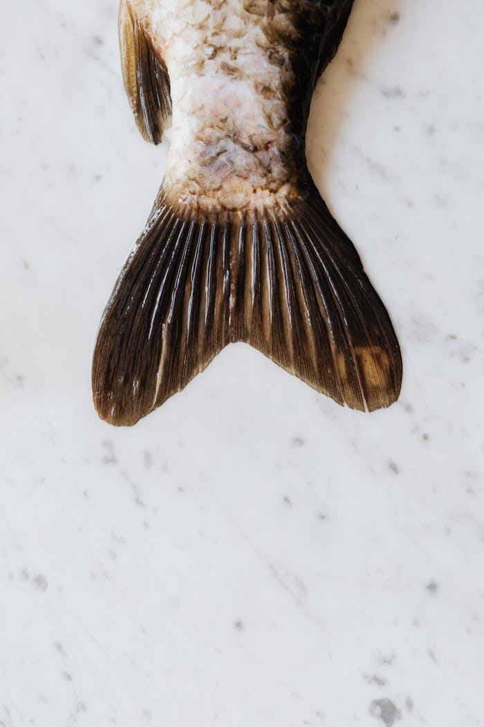 Detailed shot of a raw fish tail showing texture and pattern on a marble surface.